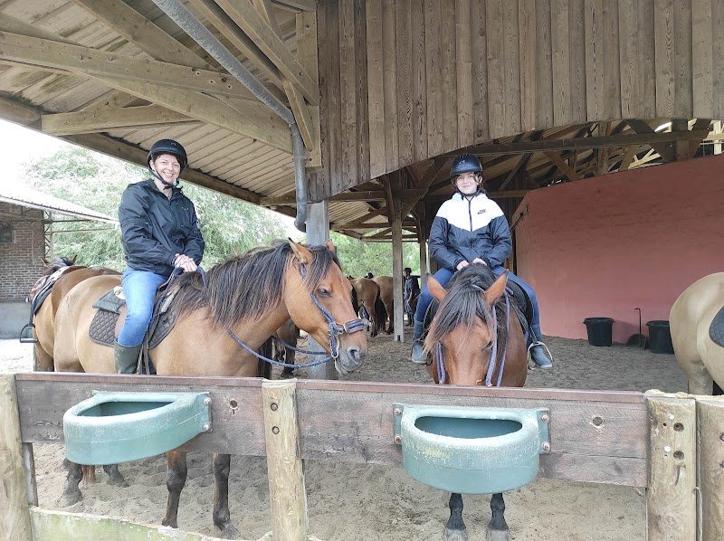 Espaces Equestres Henson - photo 3