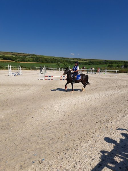 Écurie Saint Frieux - photo 2