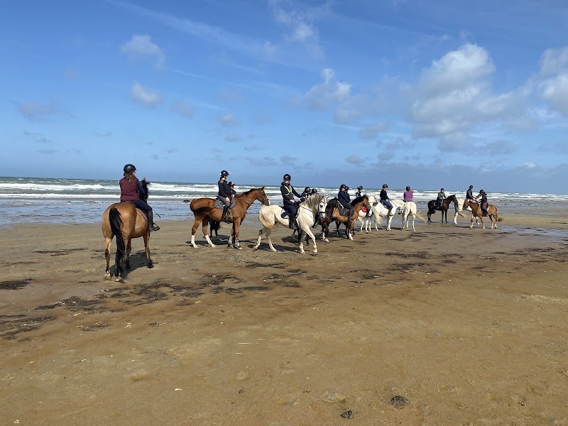 Écurie Saint Frieux - photo 3