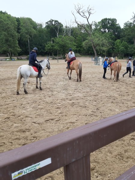 Centre Équestre d'Hardelot - photo 3