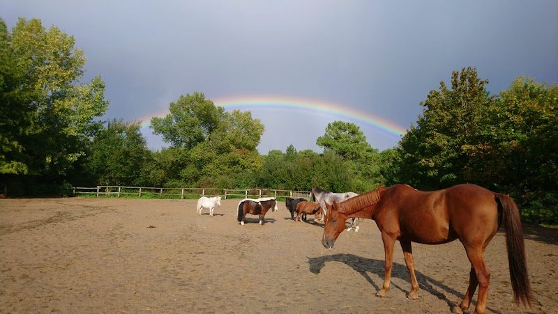 Poney Club de Rombly - photo 2
