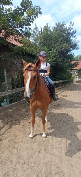 Centre Équestre De La Haute Maison - photo 1