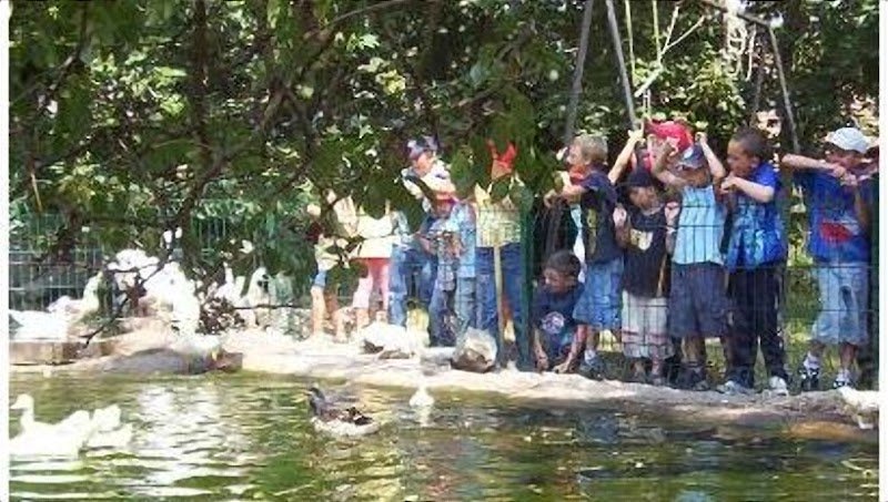 PONEY CLUB DE MARCK - photo 1