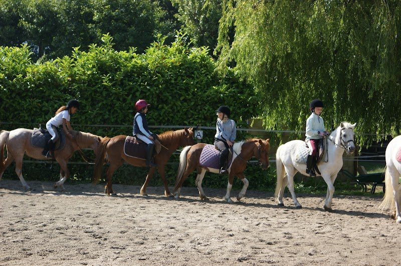 PONEY CLUB DE MARCK - photo 2