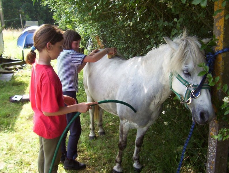 PONEY CLUB DE MARCK - photo 3