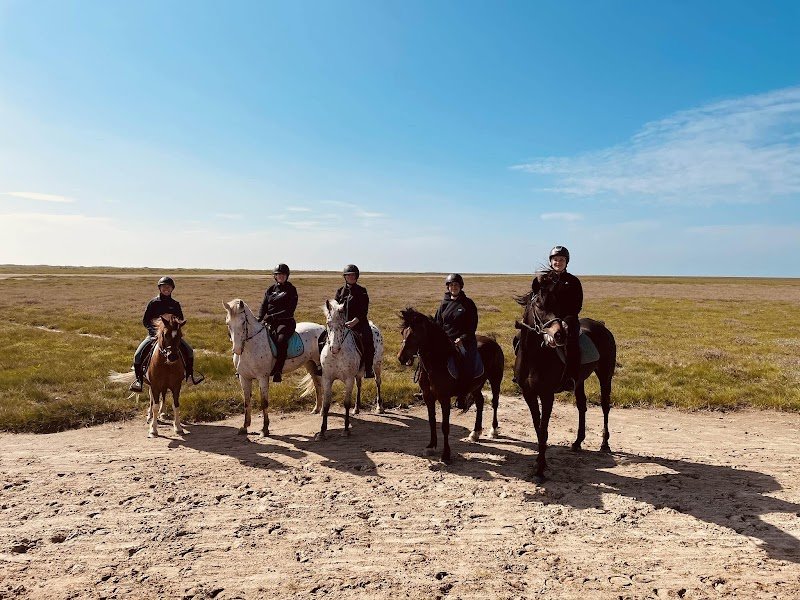 Haras de La Côte d'Opale - photo 1