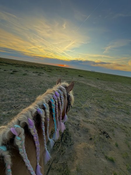Haras de La Côte d'Opale - photo 2