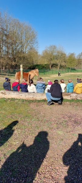 Manege équestre extérieur