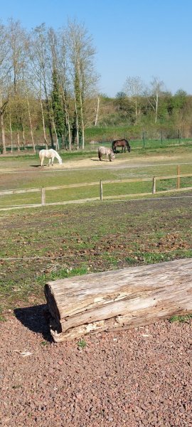 Manege équestre extérieur - photo 2