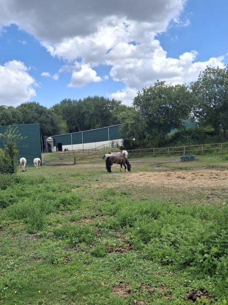 Manege équestre extérieur - photo 3