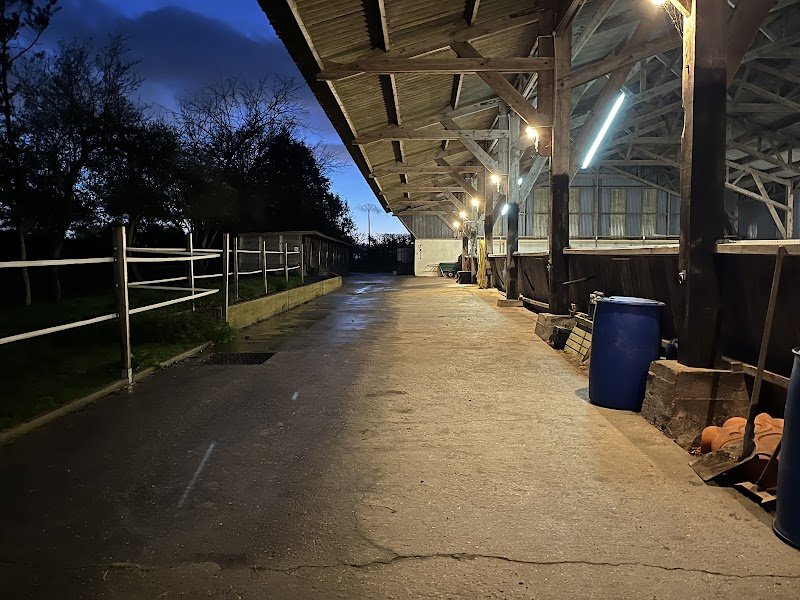 Haras De Lullaby - photo 2