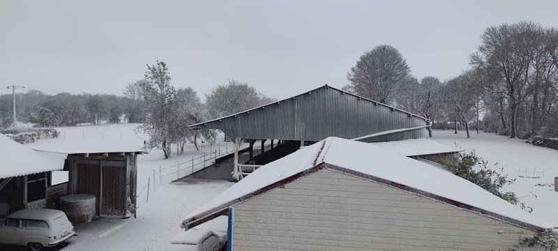 Haras De Lullaby - photo 3