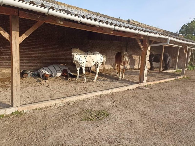Centre Équestre du Fort d'Aire