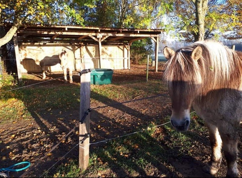 Centre Équestre du Fort d'Aire - photo 2