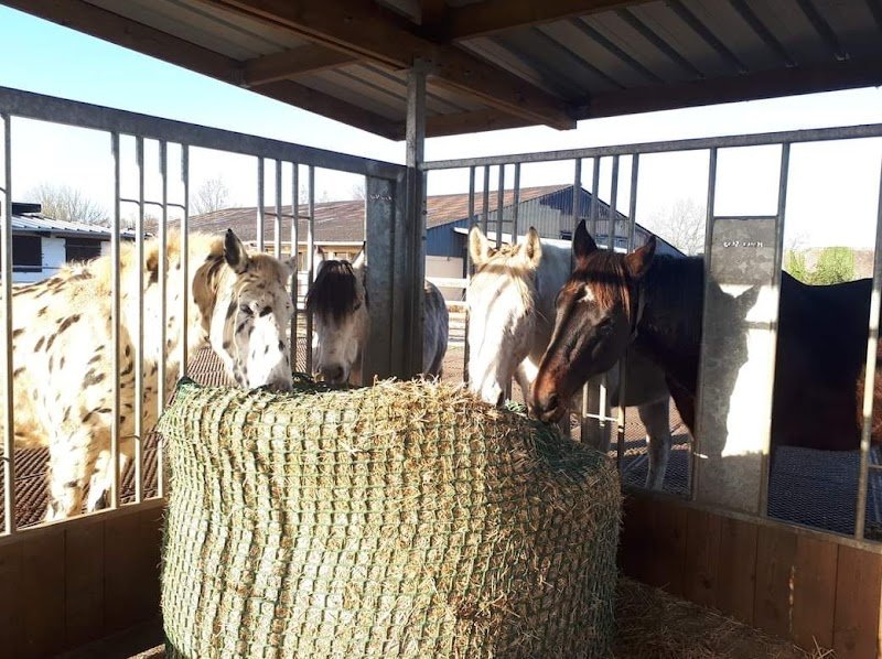 Centre Équestre du Fort d'Aire - photo 3