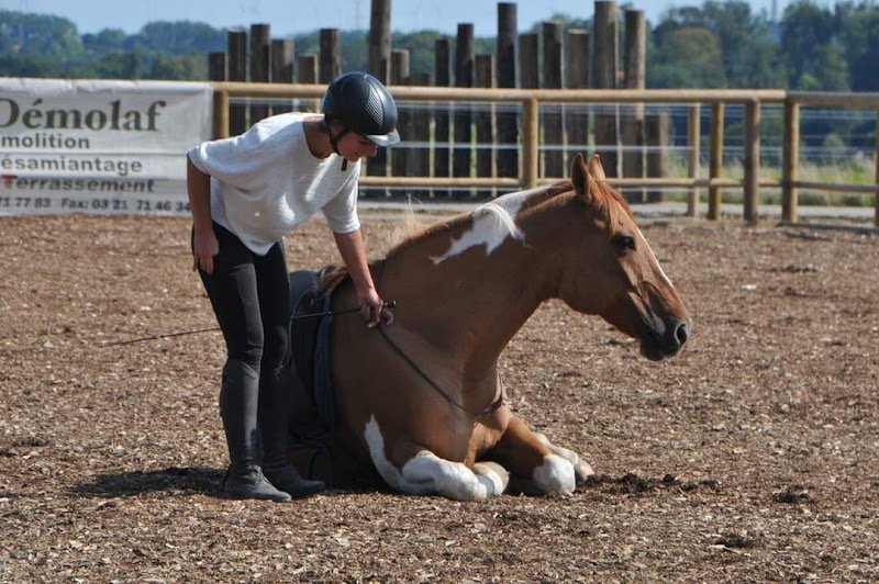 Les écuries de Basseux - photo 2