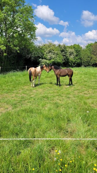 Les écuries de Basseux - photo 3