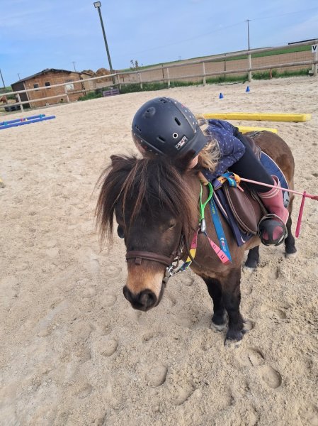 Ecurie d adinfer - photo 1