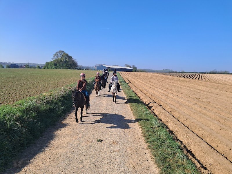 Ecurie d adinfer - photo 2