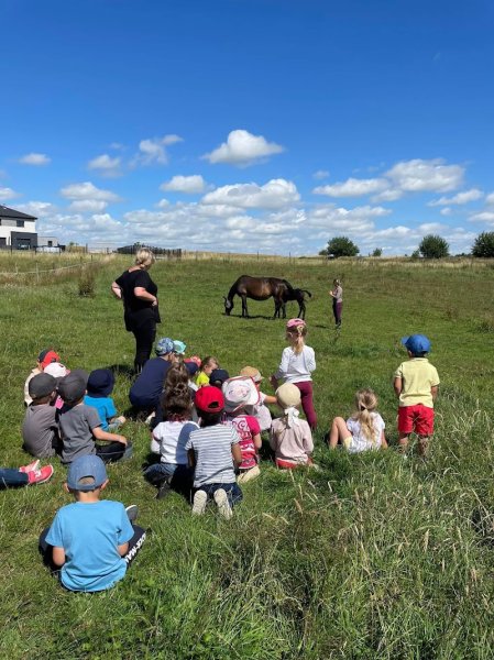 Écuries Montévaste - photo 1