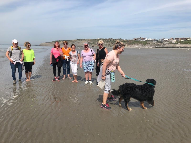 Sev & You, centre de bien être équin, pension cheval, balnéothérapie, formation masseur équin