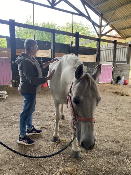 Sev & You, centre de bien être équin, pension cheval, balnéothérapie, formation masseur équin - photo 2
