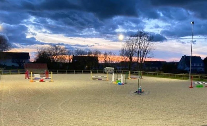 Haras de Connincthun / Horses By FG - photo 3