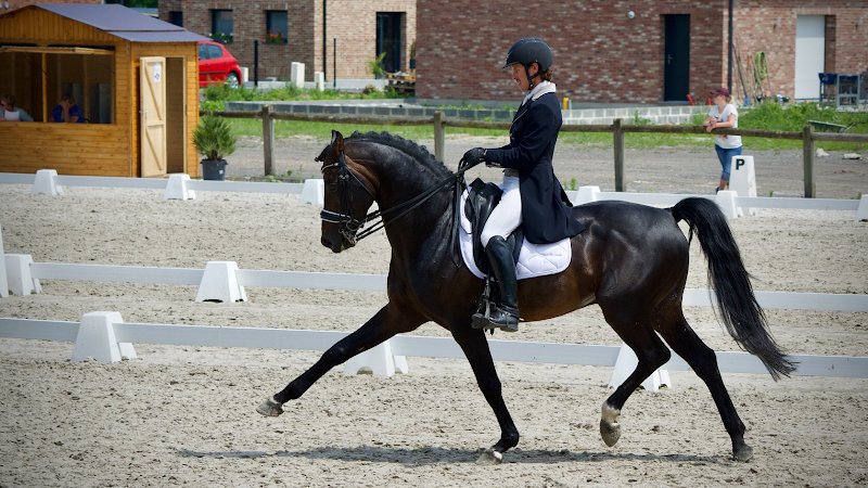 Ecurie Vanstaevel - photo 1