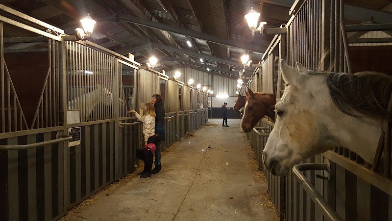 Haras Du Pacault - photo 1