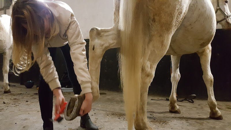 Haras Du Pacault - photo 2