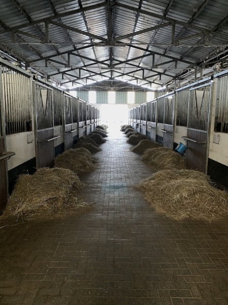 HARAS DES PRINCES - photo 2