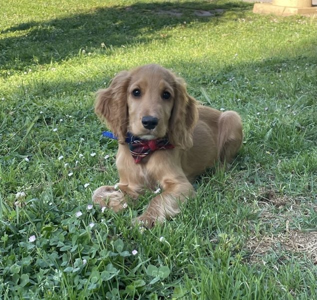 Du chemin des cavaliers - photo 1