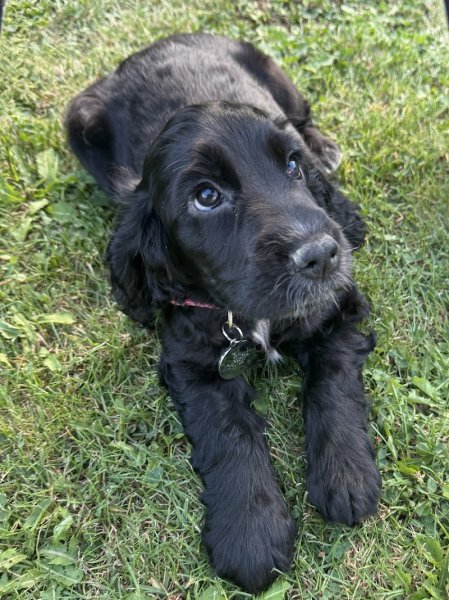 Du chemin des cavaliers - photo 2