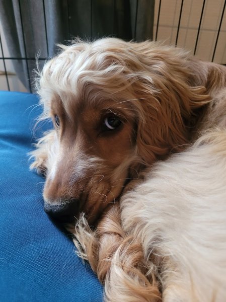 Du chemin des cavaliers - photo 3