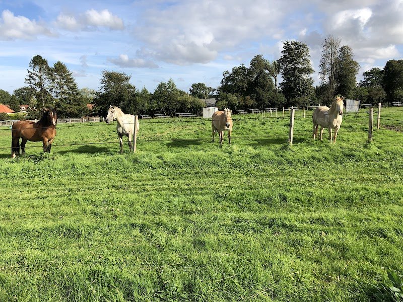 Écuries de la Calique - photo 2