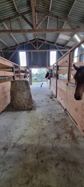 Écuries de la Calique - photo 3