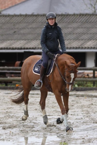 CLUB HIPPIQUE DE MENNEVILLE - photo 1