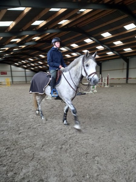 Écurie Ringot - photo 1