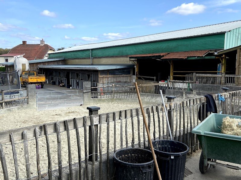 Le Haras de Bouvigny - photo 2