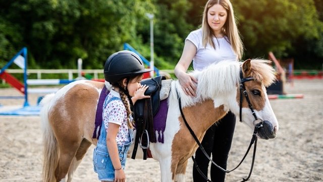 LES ECURIES DES HAUTS PAYS - photo 1