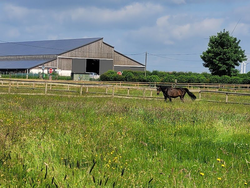 LES ECURIES DES HAUTS PAYS - photo 3