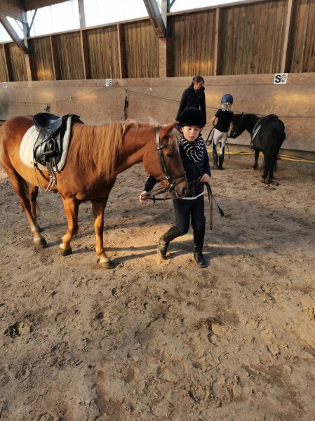 Centre Equestre du Pays de Montreuil - photo 2