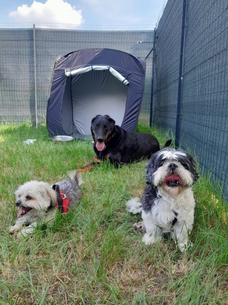 Pension "Le Grand Chemin" - photo 2