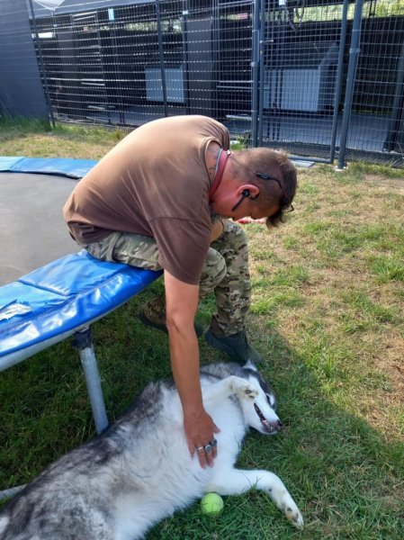 Pension "Le Grand Chemin" - photo 3