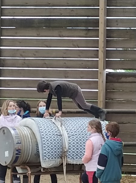 Ecurie D'amequine - photo 3