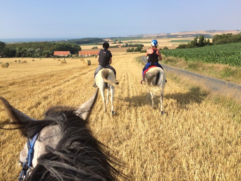 Ferme Équestre - photo 3