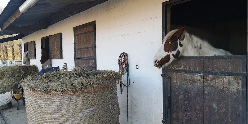 Haras des Trois Pays - photo 2