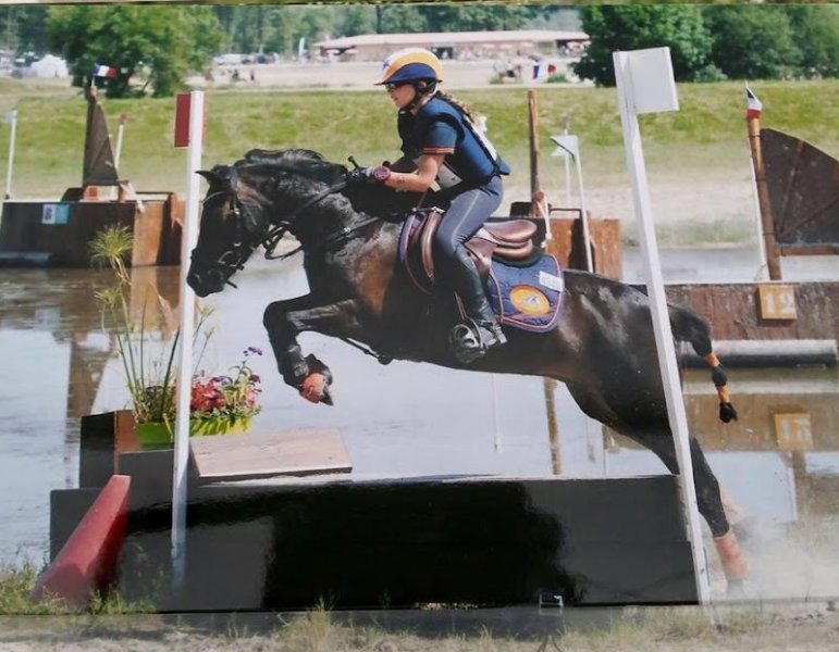 Haras Winsmill Poneys Dartmoor - photo 2