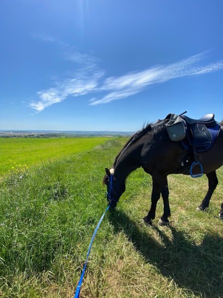 Ferme équestre de Den'