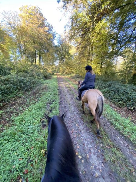 Ferme équestre de Den' - photo 2